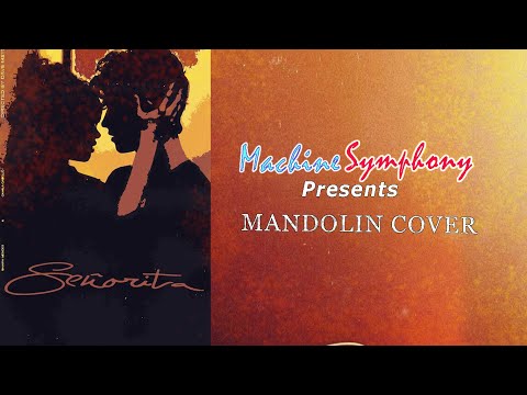 Shawn Mendes, Camila Cabello - Señorita (Cover) | Instrumental | Mandolin |