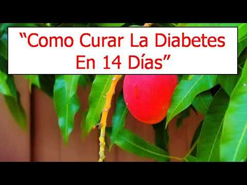 download lagu mp3 mp4 Como Curar La Diabetes En 14 Dias, download lagu Como Curar La Diabetes En 14 Dias gratis, unduh video klip Como Curar La Diabetes En 14 Dias