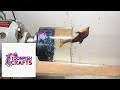 Woodturning Dolphin In Resin Art