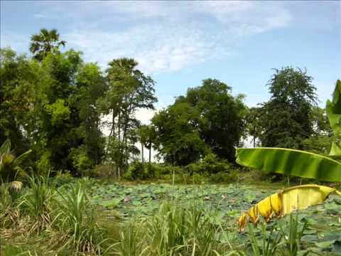 Im Song Seum - Pisyati.wmv