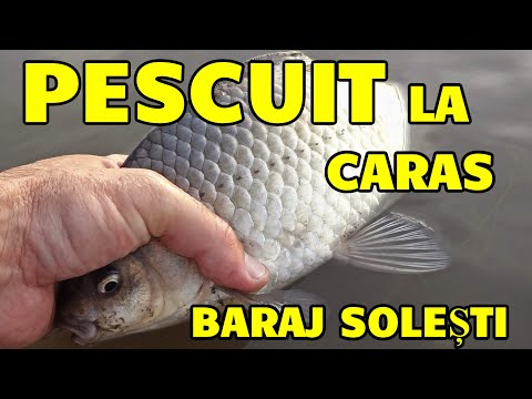 Pescuit la caras baraj SOLESTI Vaslui