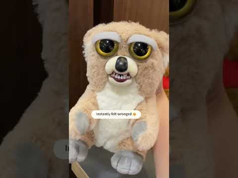 What's going on with this two-faced bear? 😆🐻 #cute#plushies #plushtoys #bear #gift #fyp #toys