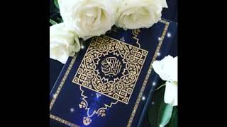 Download lagu Status wa lebaran 1439 H mp3