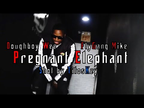 DoughBoy Wee X Fly Gang Mike - Pregnant Elephant (Official Video)