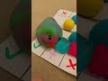 Squishy Trading Part 1 ️ Foryou Squishy Needohs