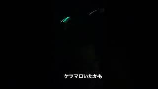 なんだってんだよ