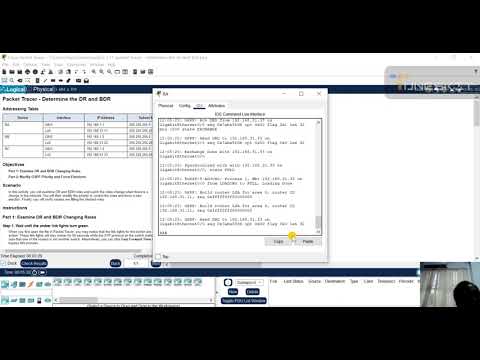 2.3.11-packet-tracer---determine-the-dr-and-bdr-Fian 12 ACP
