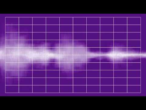 The Radio Syncopators - Pardon Me Pretty Baby (Eclipse, 1931)