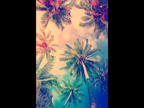 DJ Petru-Berliner *(Mix)