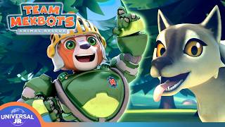 Sir Bear the Brave & Other Adventures | TEAM MEKBOTS ANIMAL RESCUE