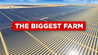 Canada’s BIGGEST Solar Project Is Happening!