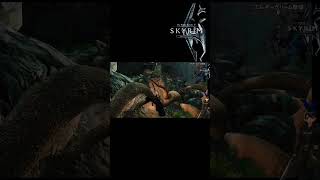 スカイリム #14ショート 聖域　#shorts #skyrim