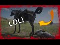 Horse Poops On NPC Red Dead Redemption 2