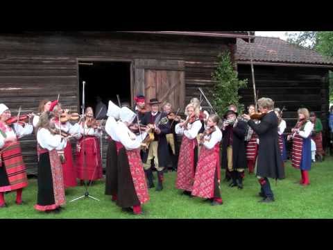 Midsommar i Boda by 2011