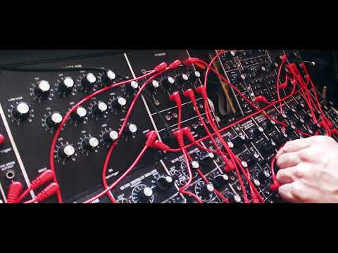 My Behringer System 55 -- official test drive