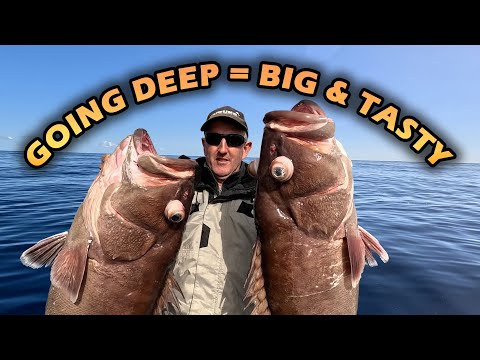 FISHING THE DEEP for tasty treats | Bar Cod, Snapper, Pearl Perch, Kingfish | Deep Dropping