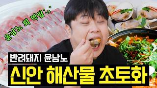 신안 해산물 앞에서 이성 상실! 맛부심 시즌3 썸네일