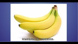 第一週低升糖飲食