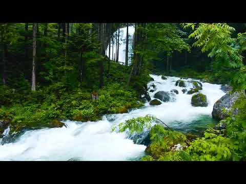 45  Surja El Xhathije   Gjunjezim  Kuran Shqip