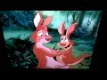 Kangaroo Hug From The Ending Of FernGully 2 The Magical Rescue