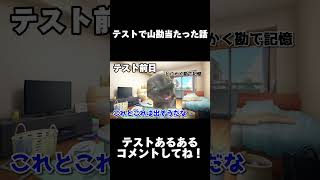 【猫ミーム】テスト勉強ダルくてヤマカンで行ったら大当たりしたwwww #猫ミーム #cat #shorts