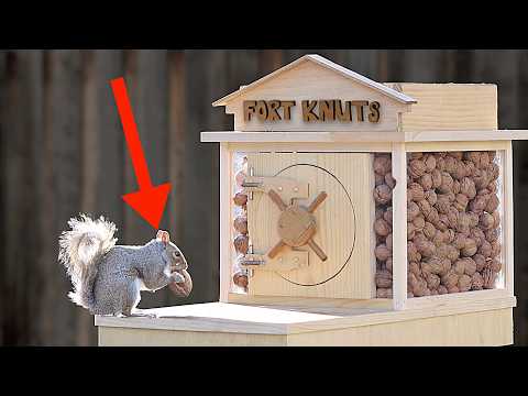 This Guy Made the Ultimate Squirrel Maze in His Backyard