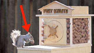 Backyard Squirrel Maze 2 0 The Walnut Heist Video