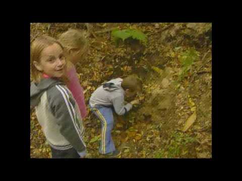 ŠUMSKA VILA - 2006.