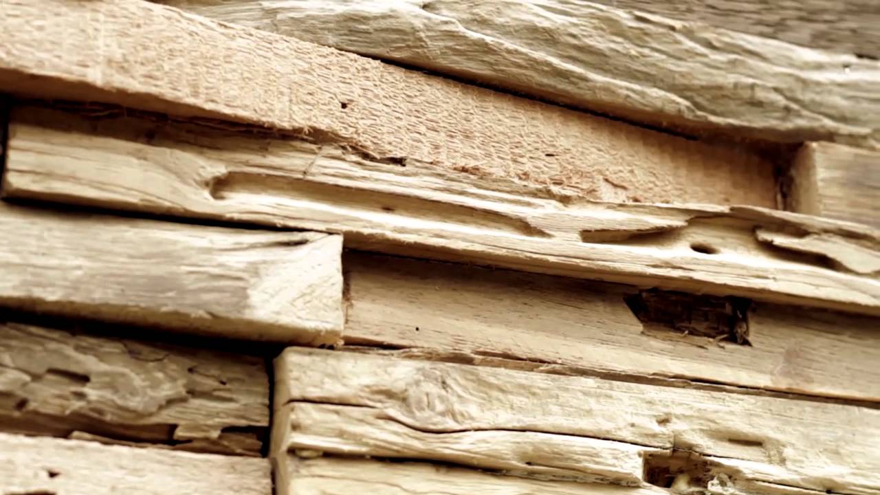 Wonderwall Studios vid