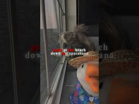 Party at the beach down in Copacabana 🕺 #foryou #trending #lyrics @nibsgonewild(TIKTOK)