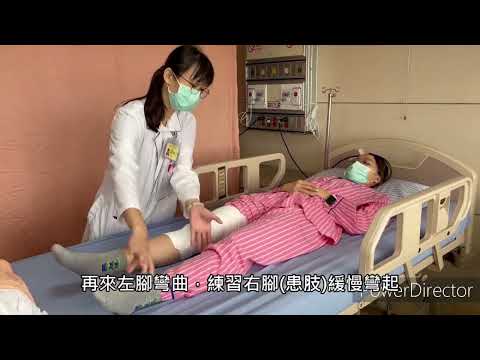 膝屈曲伸直運動