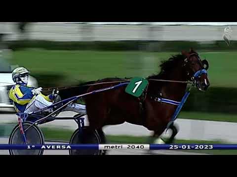 Aversa trotto 25 Gennaio 2023 - 1° Corsa