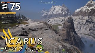 【ICARUS】#75 実況「ステュクスでのミッション」【アクション アドベンチャー】