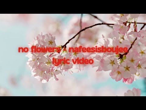 Nafeesisboujee - no flowers (Lyrics)