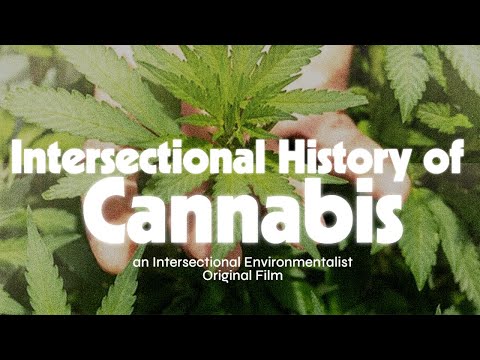 Intersectional History of Cannabis