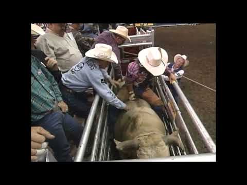 Promiseland Nearly Perfect - 00 PBR Nashville