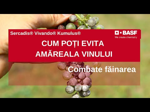 Kumulus BASF Fungicid Făinare