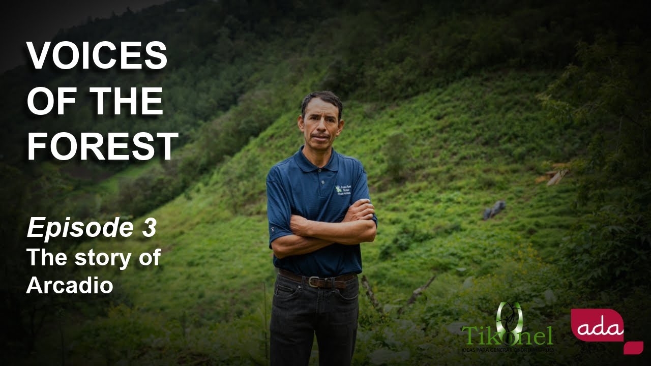 Voices of the Forest Episode 3: the story of Arcadio