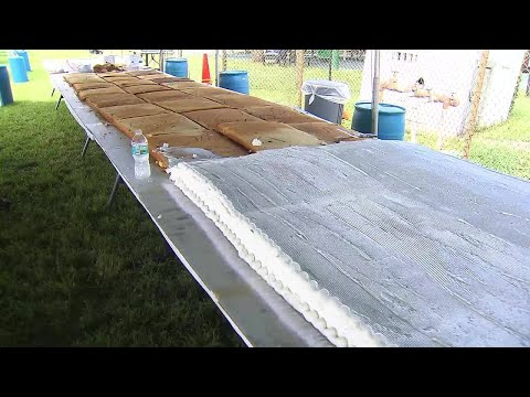 Pembroke Pines bakery working to break cake world record
