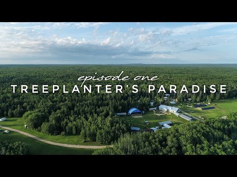 CPAWS Docuseries Episode One: Treeplanter's Paradise