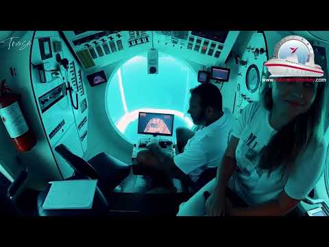 Submarine Tour