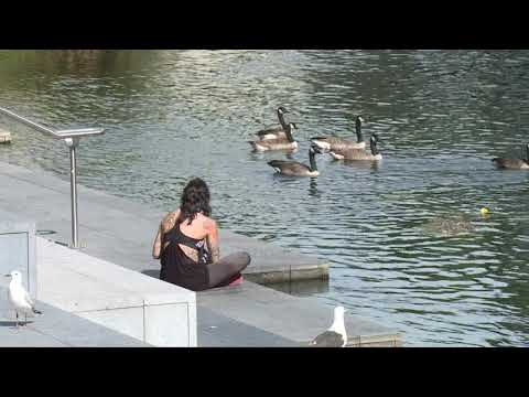 Vizë për të jetuar në çadër. Zelandë e Re, program i veçantë emigracioni