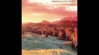 the field mice // a wrong turn and raindrops