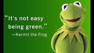 Being Green : Kermit The Frog (1970) Sesame Street Record &amp; Book Series 45