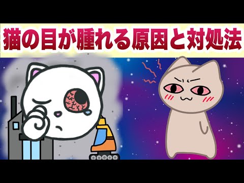 うちの猫の目が腫れているのはなぜですか? - 5 つの原因 - 結膜炎: 目が腫れ、分泌物が発生し、まぶたが炎症を起こします。