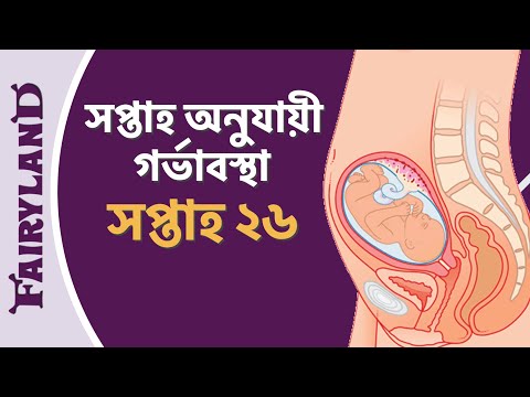 Twenty-sixth Week of Pregnancy | Pregnancy by Week | Week 26