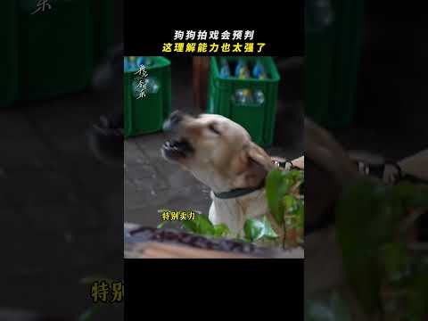 李可樂師傅