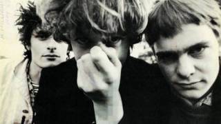 The Clean - Platypus