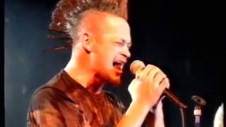 The Screaming Jets = Think Live @ MTV Pub