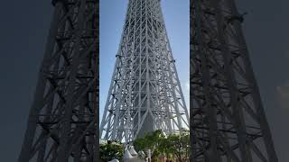 そびえ立つ東京スカイツリー😗😗